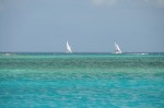 DSC_8953.JPG