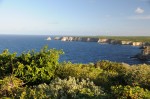 DSC_7828.JPG
