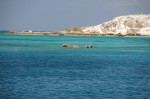 DSC_1581.JPG