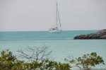 DSC_2254.JPG