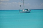 DSC_8179.JPG