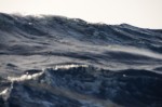 DSC_0232.JPG