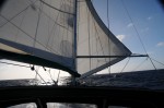 DSC_0227.JPG