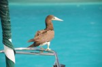 DSC_8910.JPG