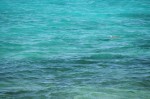 DSC_6942.JPG