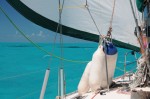 DSC_0985.JPG
