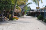 DSC_9100.JPG