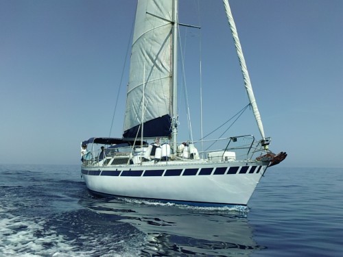 fast38,voilier,voile,franqueville,38 pieds,quillard,polyester,faster