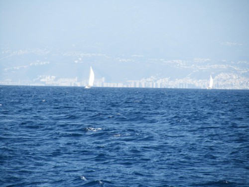 IMG_3696cor.JPG