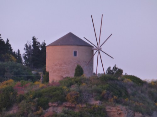 P1020936.JPG