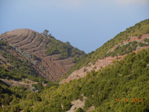 visite de el hierro 158.JPG