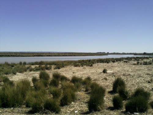 8 tri Rio Chubut.jpg