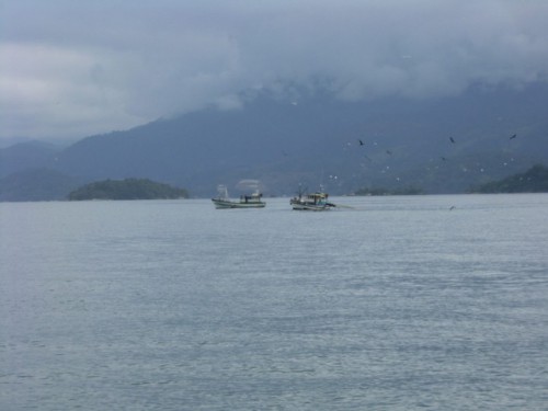 5 Arrivée Paraty zone pêche.jpg