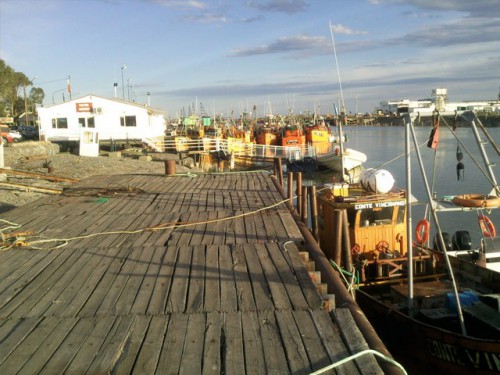 26 Flotille au soleil vue du quai.jpg