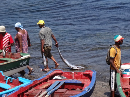 14 port de pêche Ponto do sol.JPG