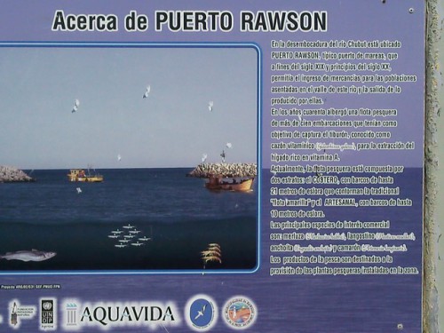 32 Au sujet de Puerto Rawson.jpg