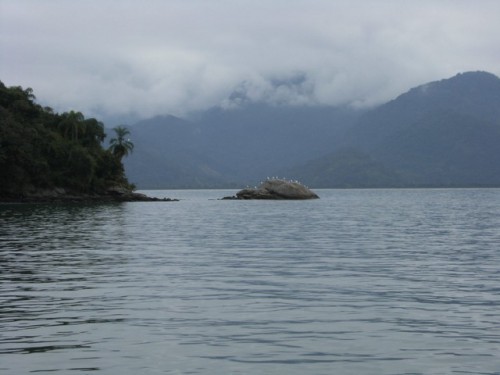 2 Ilha Cedro Rocher oiseaux.jpg