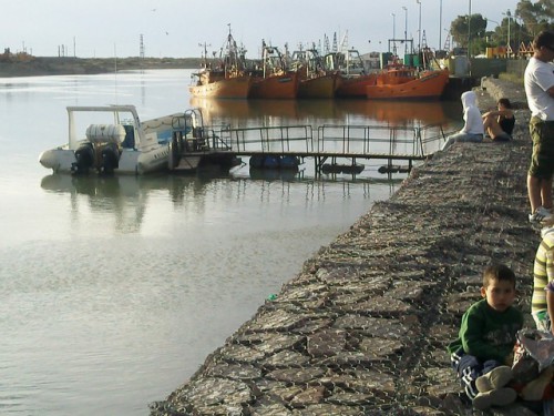 20 port de pêche sabado.jpg