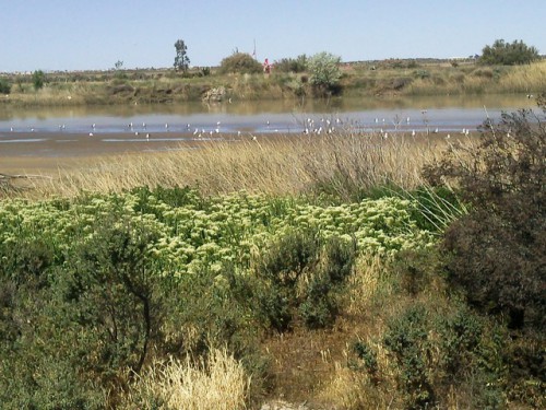 8 Rio Chubut.jpg