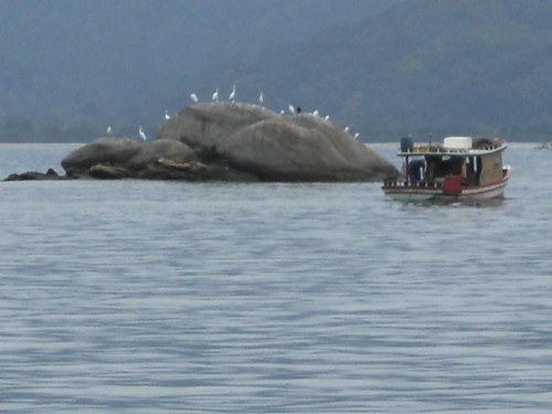 3 Ilha Cedro Rocher Oiseaux et Pêchou.jpg