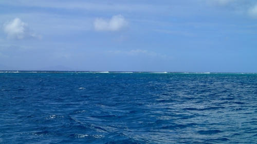 P1100005 (Copier).JPG