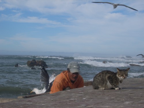 1 JOUR A ESSAOUIRA 133.JPG