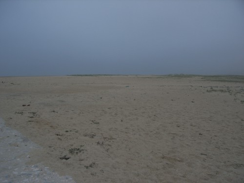 RIMG0022.JPG
