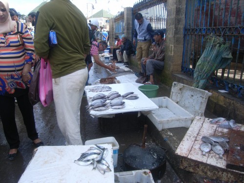 3JOUR A ESSAOUIRA 027.JPG