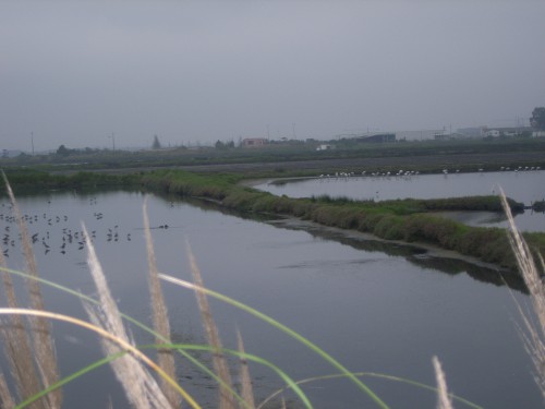 3 JOUR A AVEIRO 034.JPG