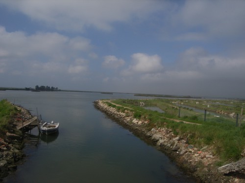 2 JOUR AVEIRO 044.JPG