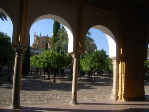 RIMG0372.JPG