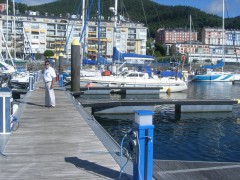 viveiro 043.JPG