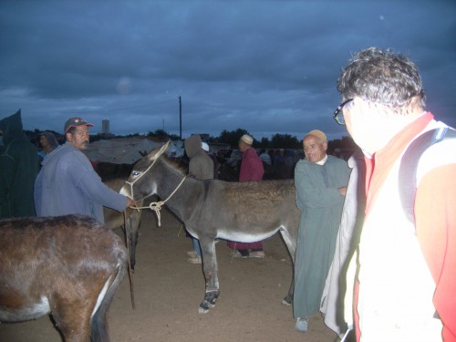 3JOUR A ESSAOUIRA 043.JPG