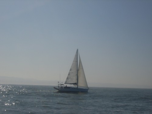 RIMG0003.JPG