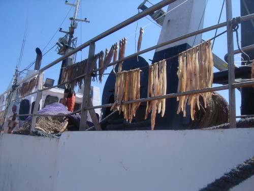 Isla Cristina 2 JOUR 047.JPG