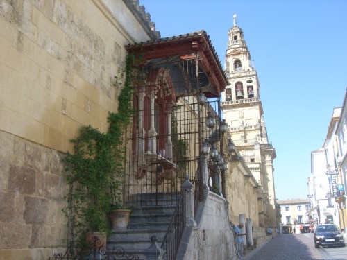 RIMG0376.JPG