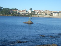 RIMG0014.JPG