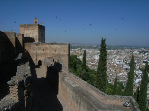 RIMG0100.JPG