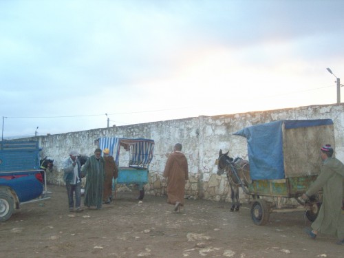 3JOUR A ESSAOUIRA 052.JPG