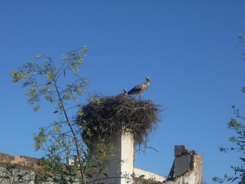 RIMG0076.JPG