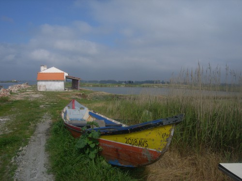 2 JOUR AVEIRO 049.JPG