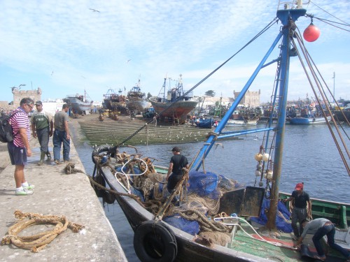 3JOUR A ESSAOUIRA 023.JPG