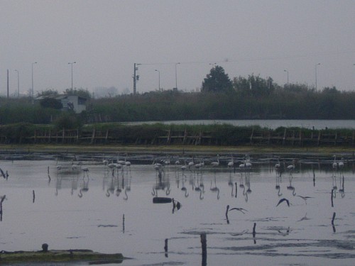3 JOUR A AVEIRO 007.JPG