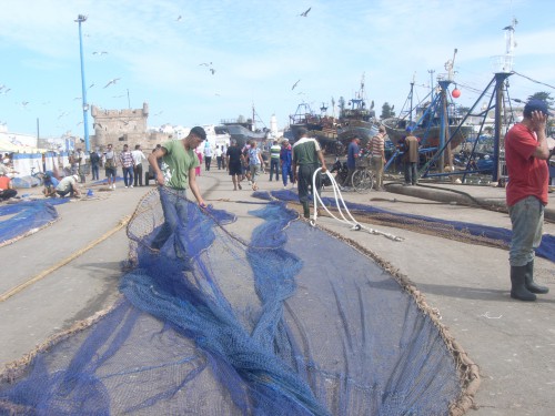 3JOUR A ESSAOUIRA 021.JPG