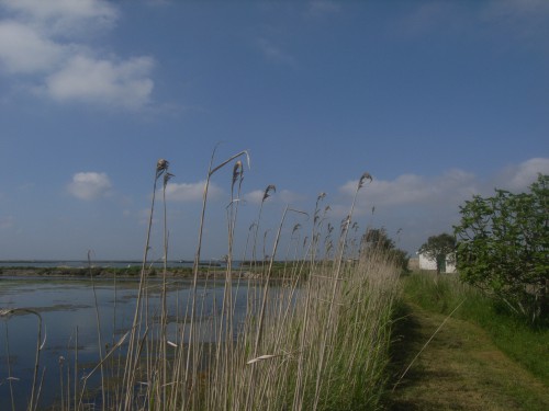 2 JOUR AVEIRO 057.JPG