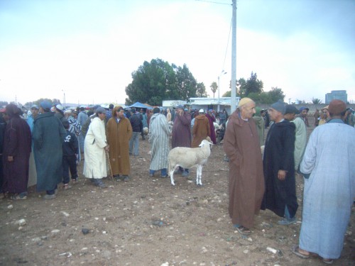 3JOUR A ESSAOUIRA 051.JPG