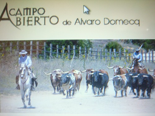 CAMPO 016.JPG