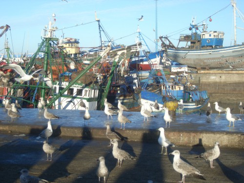 1 JOUR A ESSAOUIRA 007.JPG