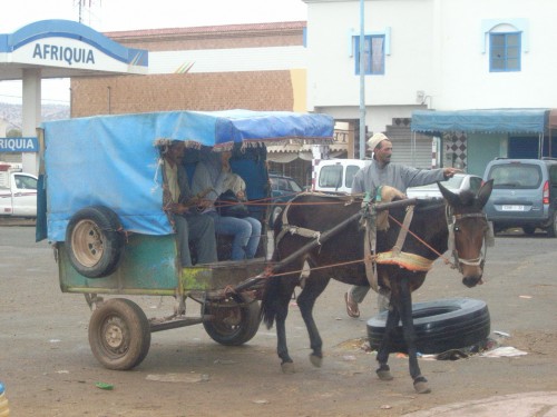 3JOUR A ESSAOUIRA 059.JPG