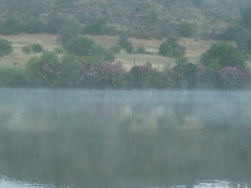 RIMG0019.JPG